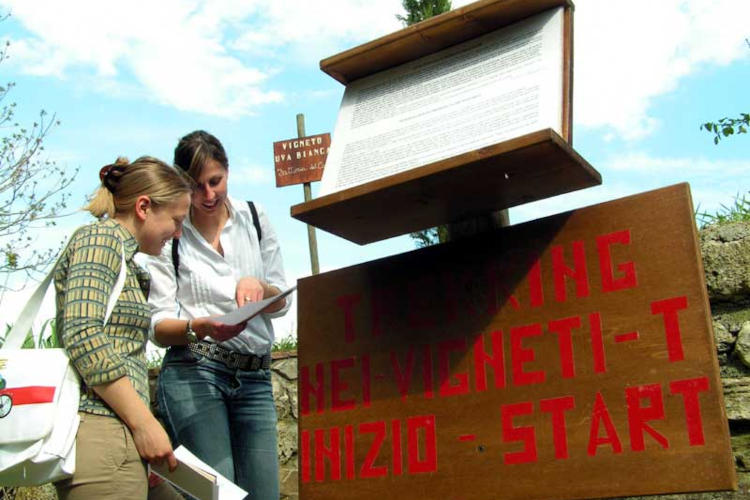 l'enoturismo cresce grazie alle donne Con più donne in cantina l'enoturismo si fa più verde