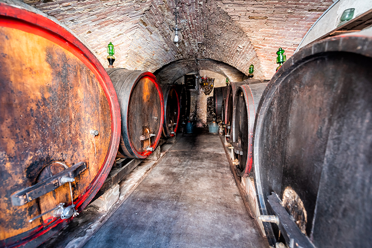 Il bello di portare nelle cantine gli appassionati Export, comunicazione, digitale e formazion: ecco dove deve migliorare il vino italiano