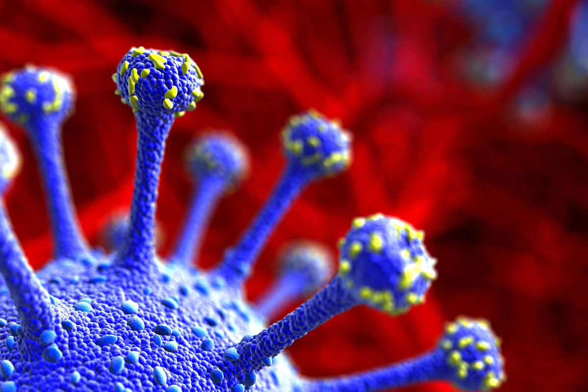 Aumentano le reinfezioni Covid Il Covid non demorde: aumentano ancora le reinfezioni Aumentano le reinfezioni Covid Il Covid non demorde: aumentano ancora le reinfezioni