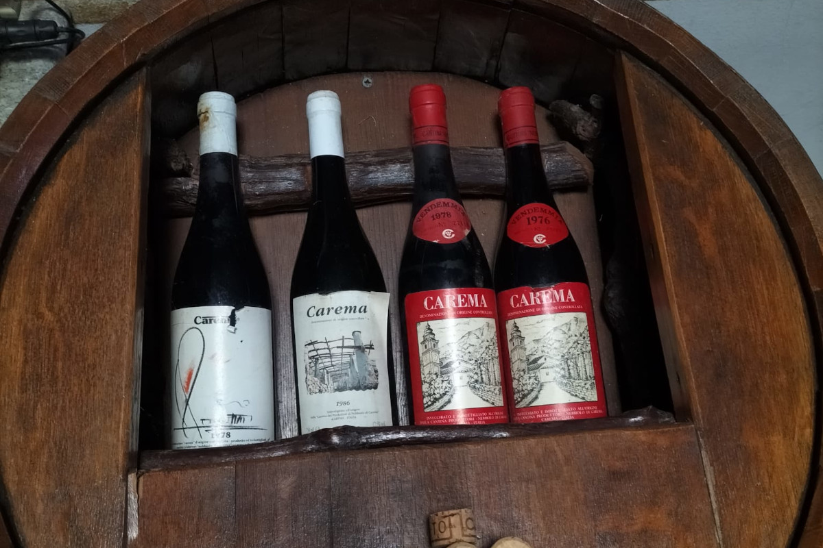 Viticoltura eroica: così il Nebbiolo sfida il clima tra i terrazzamenti dell’Alto Canavese