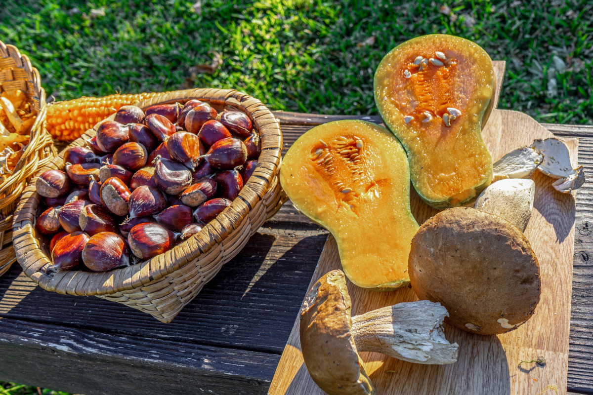 Prezzi dei prodotti autunnali: in linea la zucca rincaro per le castagne