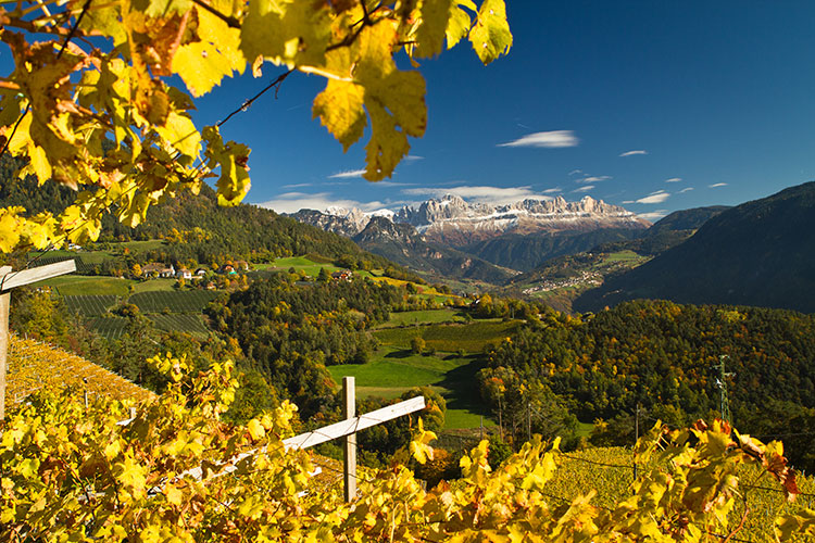 (All’AlpiNN di Niederkofler 
si stappano bollicine Kettmeir)