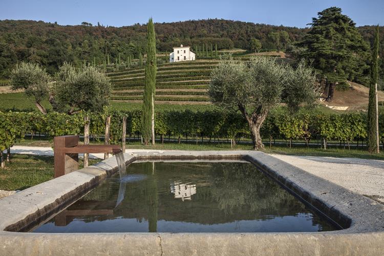 (Amarone Classico Bertani, 50 vendemmie 
e il ritorno dell'annata storica 1967)