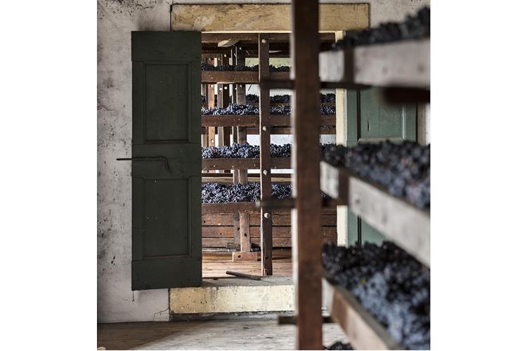 (Amarone Classico Bertani, 50 vendemmie 
e il ritorno dell'annata storica 1967)