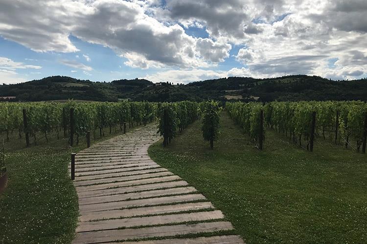 (Antinori nel Chianti Classico 
Un tempio per vivere il vino)