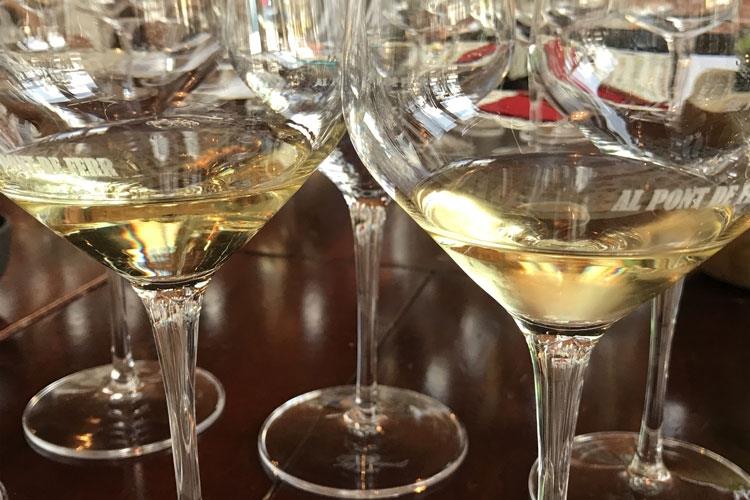 (Aquila del Torre, territorio e biodinamica 
Sei vitigni per 65mila bottiglie all'anno)