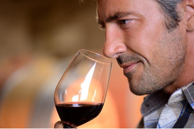 (Con la 16ª edizione di SapEur 
torna a Forlì l’attesa kermesse del gusto)