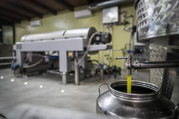 (Frantoi Aperti, 21ª edizione 
4 weekend tra passeggiate e degustazioni)