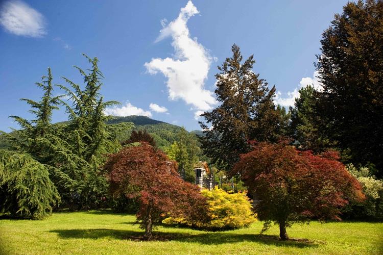 (Grand Hotel Imperial a Levico Terme 
La natura tra Forest therapy e benessere)