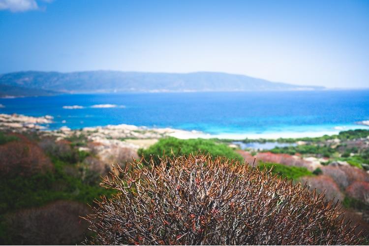 (Ichnusa dalla parte dell’ambiente 
con il progetto “Vuoto a buon rendere”)