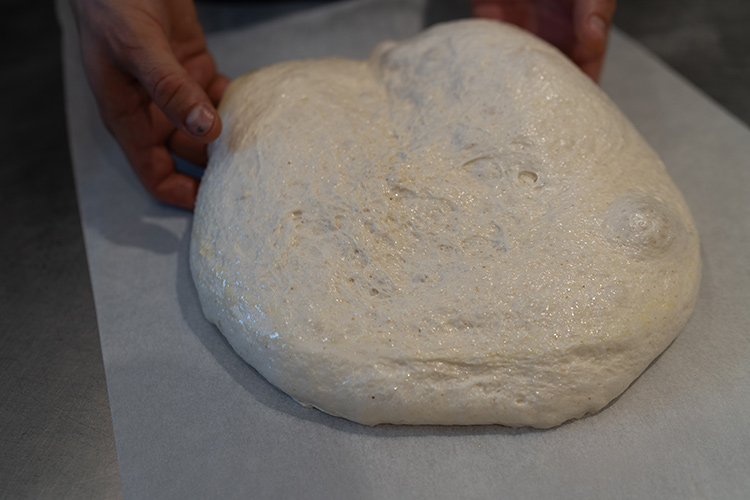 (L’arte dell’impasto si apprende 
con impegno e aggiornamento)