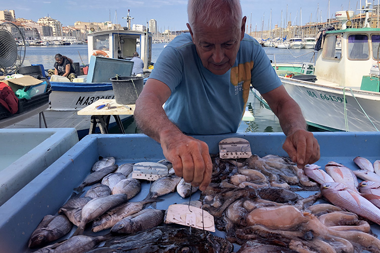 (Marsiglia, crocevia di turisti 
La città non più solo “di passaggio”)