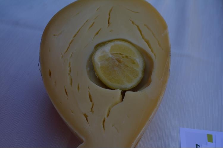 Nebrodi Cheese Festival 
Emozioni globali, prodotti locali