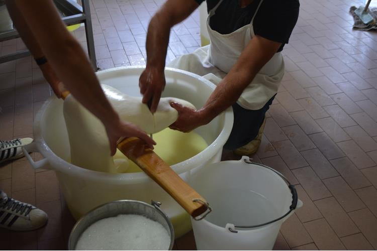 Nebrodi Cheese Festival 
Emozioni globali, prodotti locali