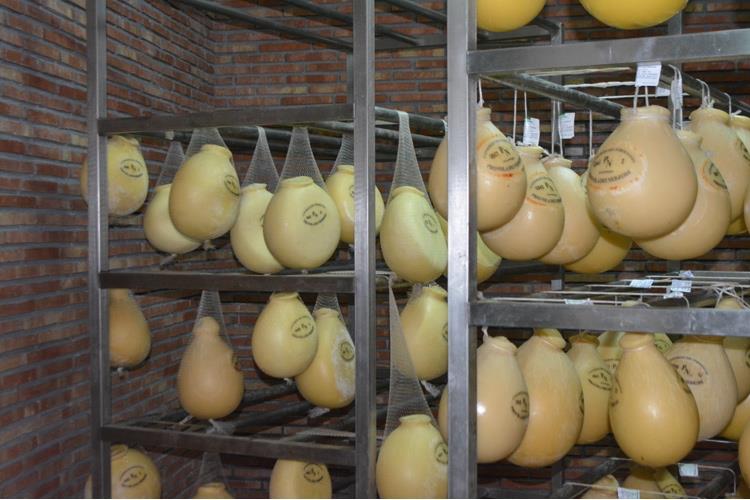 Nebrodi Cheese Festival 
Emozioni globali, prodotti locali