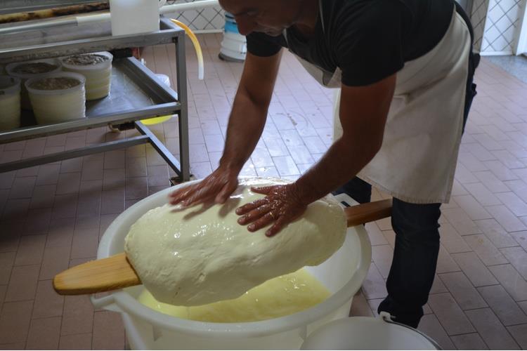 Nebrodi Cheese Festival 
Emozioni globali, prodotti locali