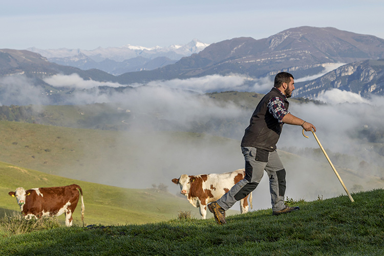 (Paesaggi rurali storici, la Lessinia 
prepara un dossier per farne parte)